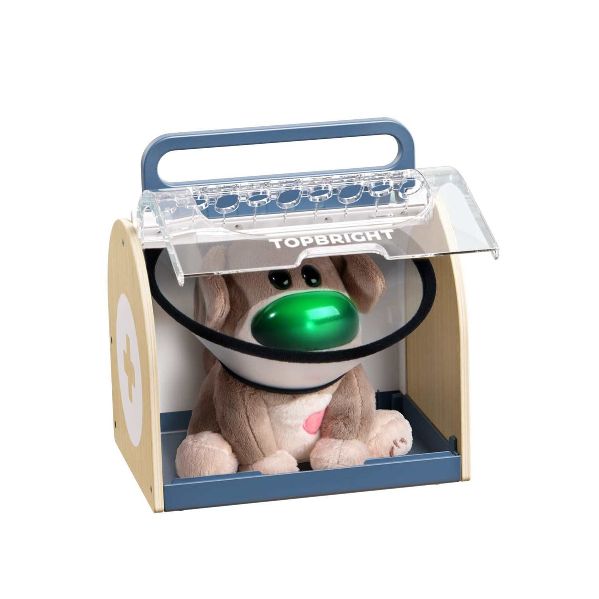 Haustier Dr. Dog