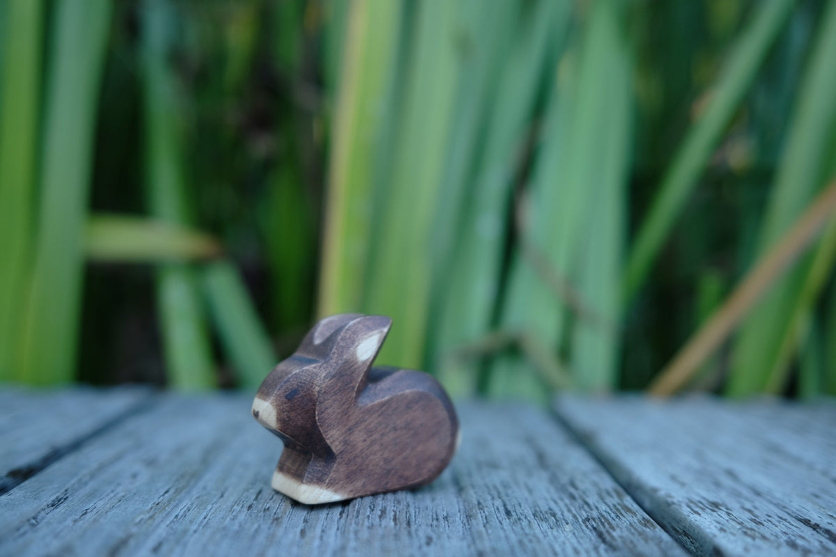 Hase klein