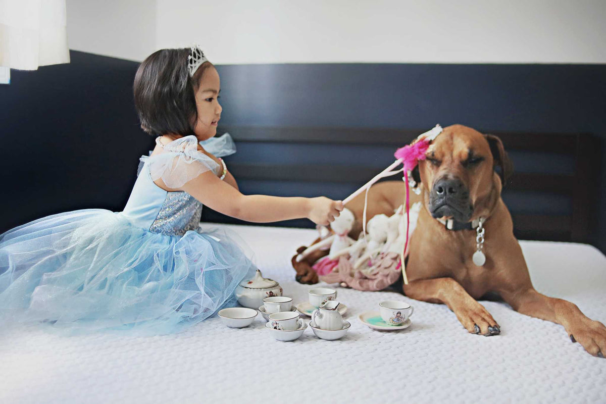 Blaues Paillettenkleid Prinzessin 5-6 Jahre