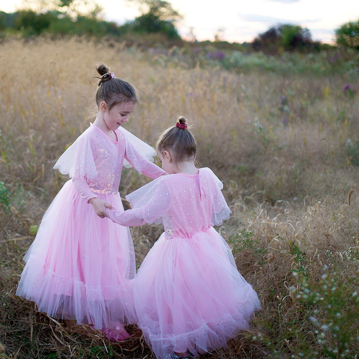 Prinzessinnen Kleid Elegant 3-4 Jahre