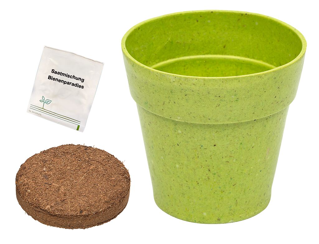 Mein Zaubergarten Anzuchtsets für Insekten (1 Stück)