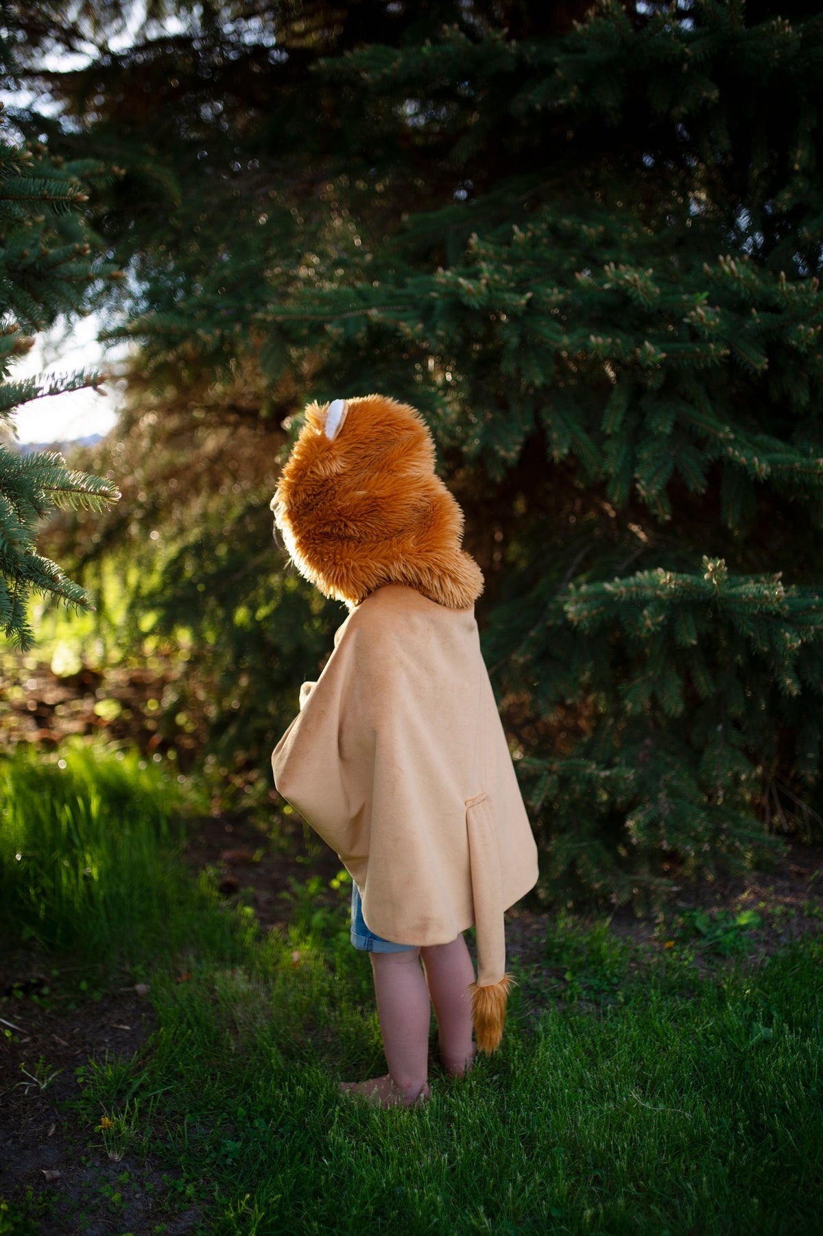 Löwen Cape 4-6 Jahre