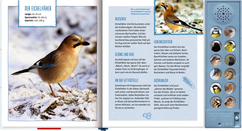 Vögel im Winter bei dir zu Gast
