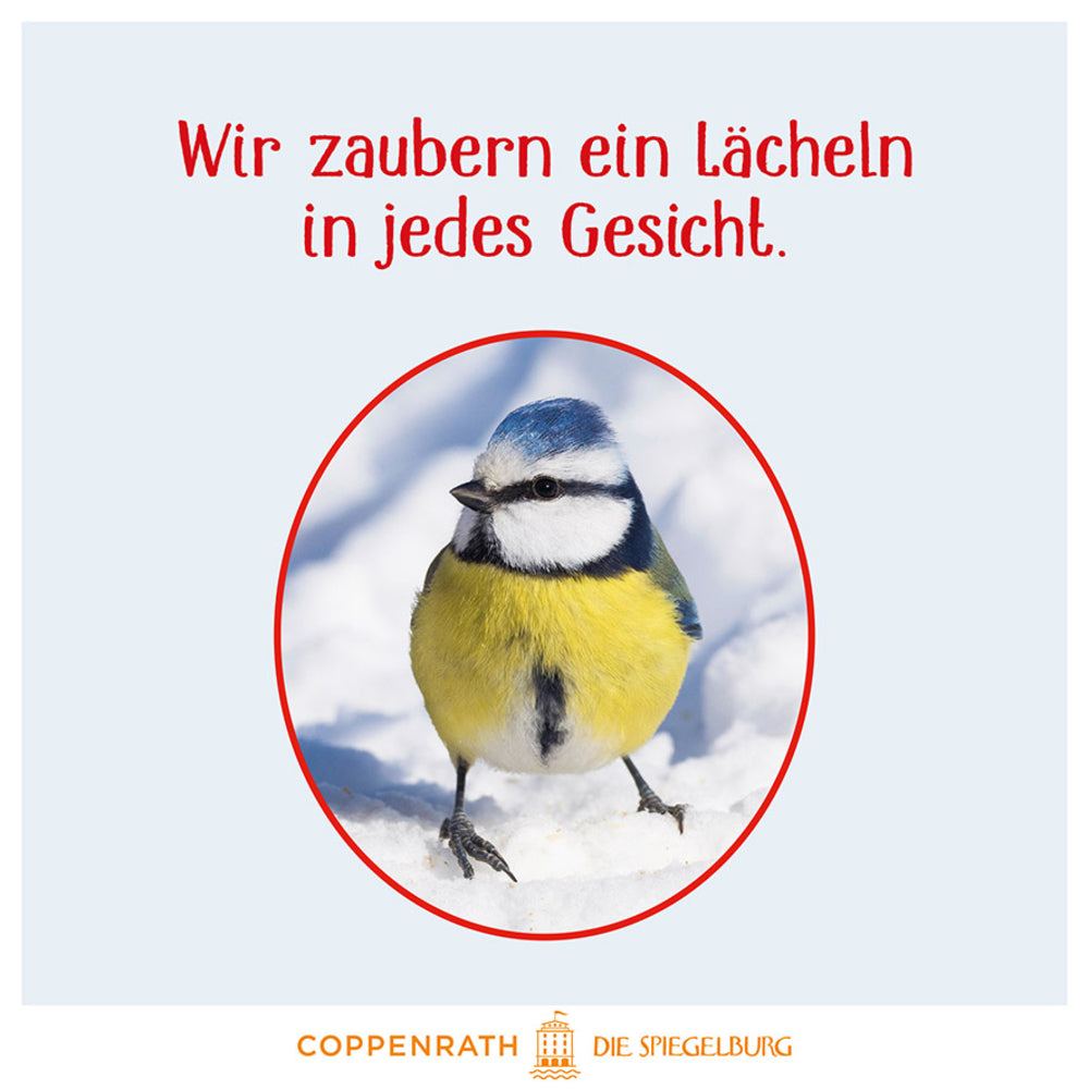 Vögel im Winter bei dir zu Gast