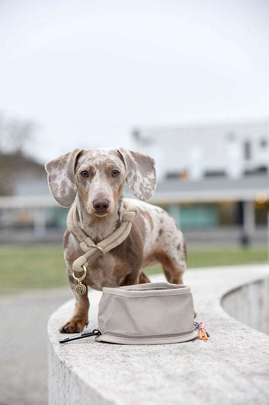 Hundenapf "to go"- Tura/ taupe