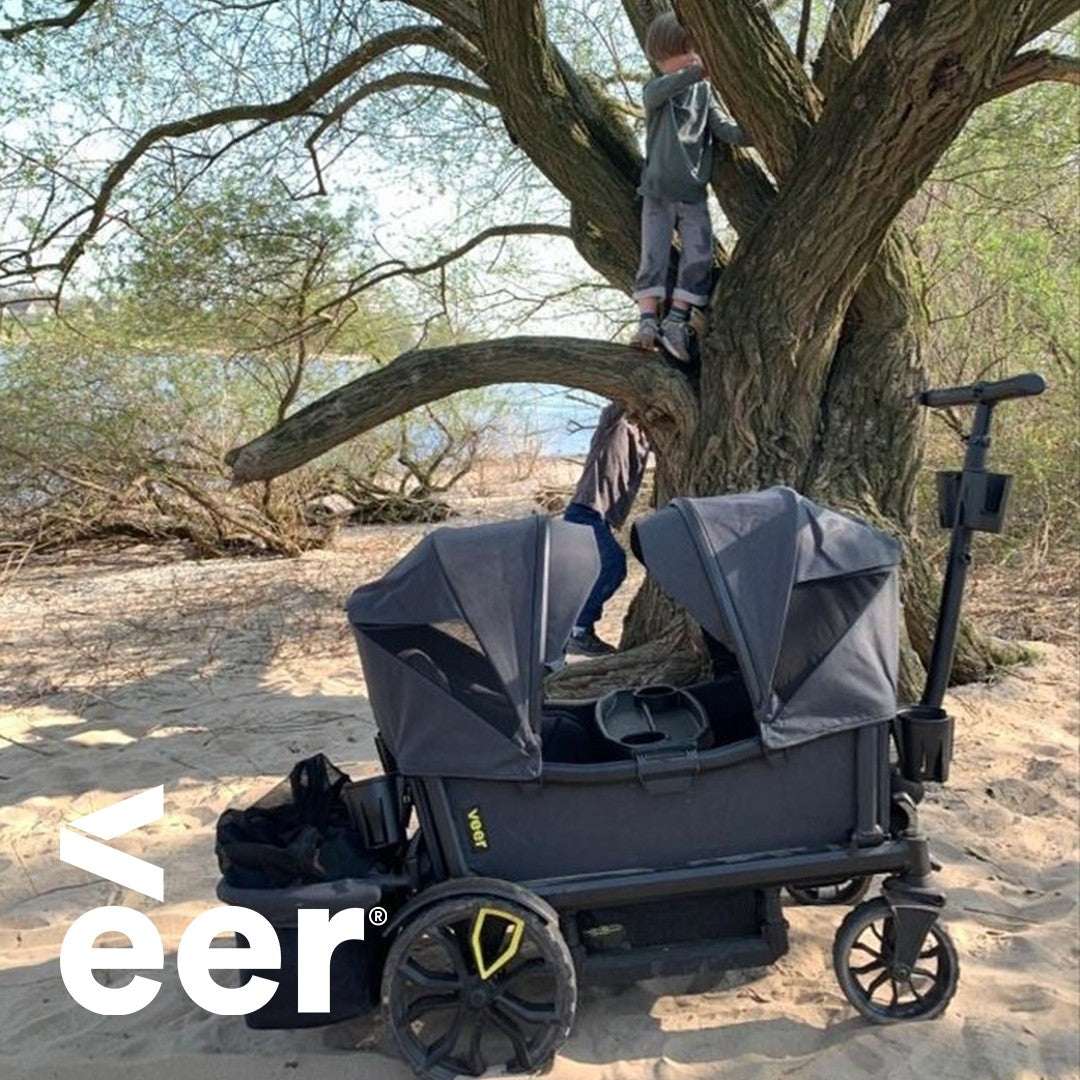 VEER Cruiser*