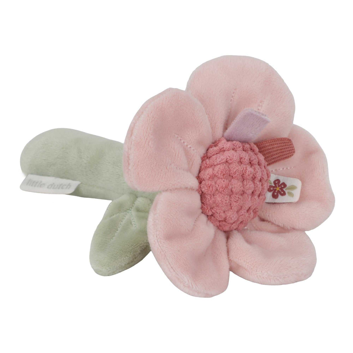 Rassel Blume - Fairy Garden