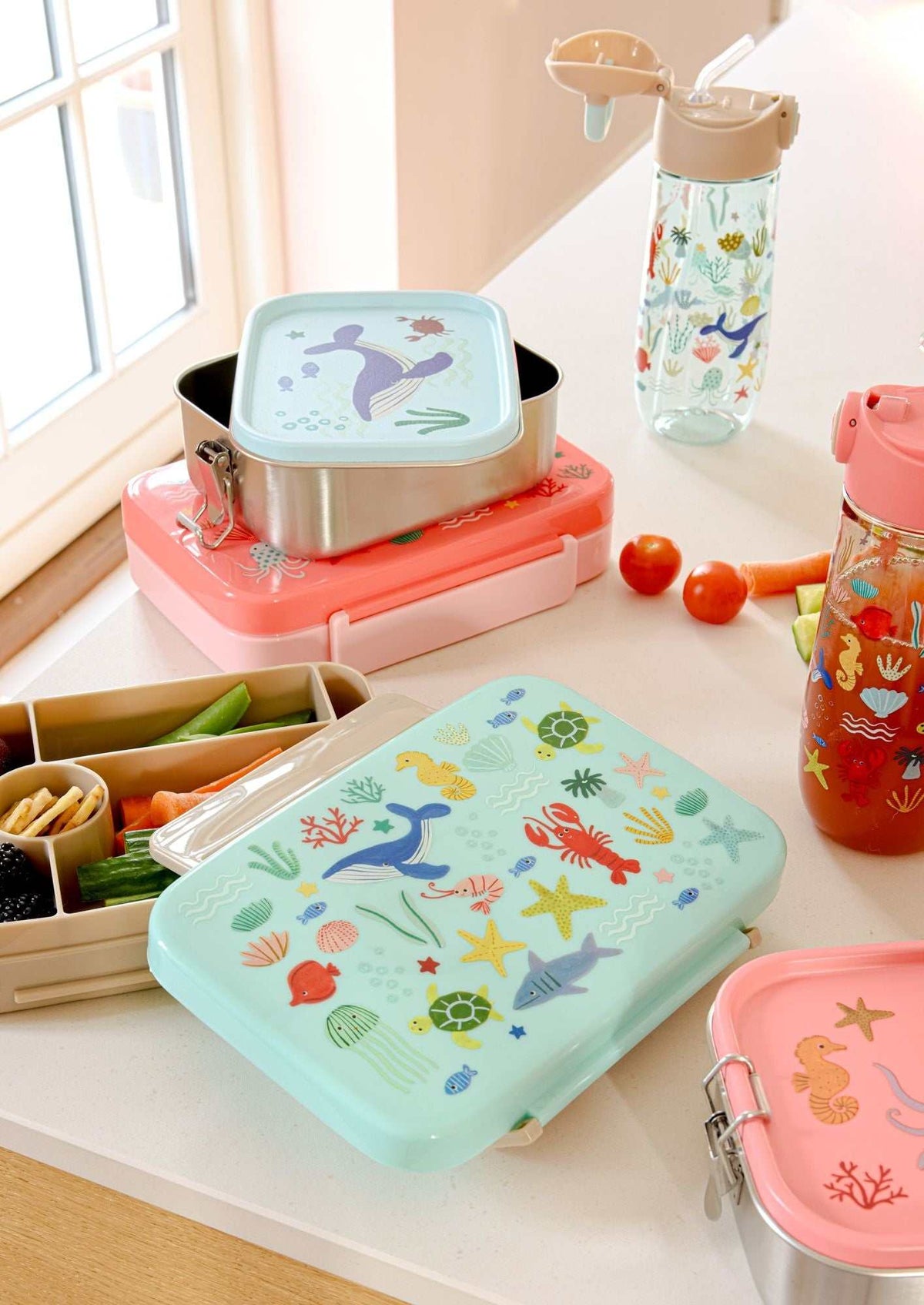 Lunchbox Blue Ocean 800ml