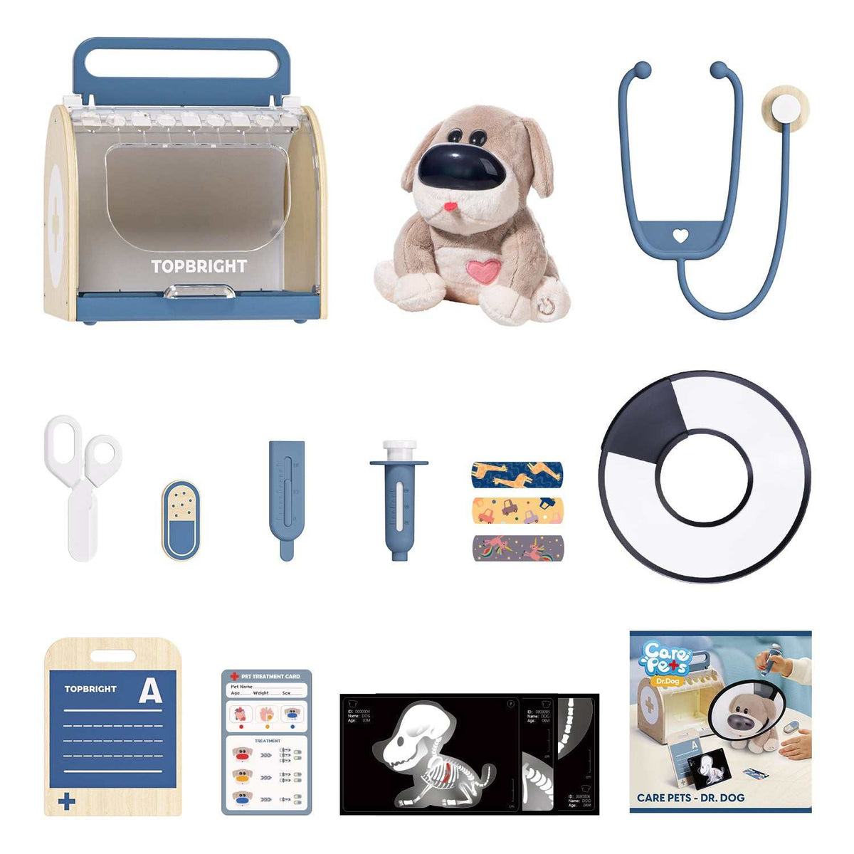 Haustier Dr. Dog
