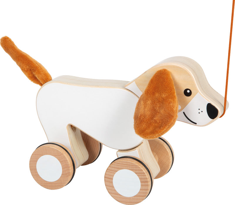 Nachziehtier Hund mit Knisterohren
