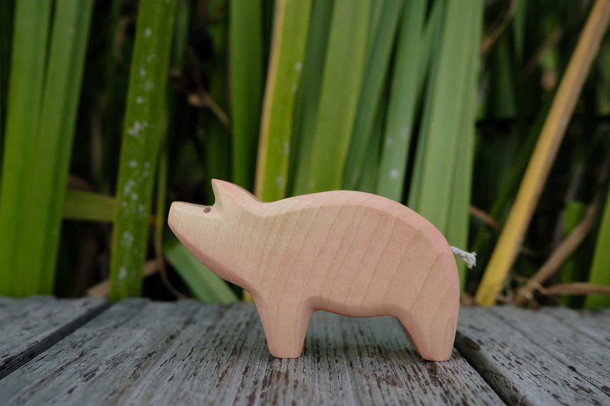 Schwein