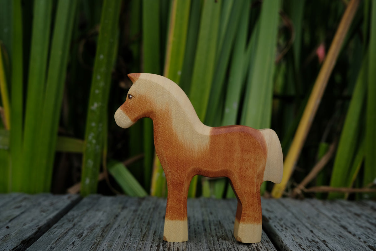 Haflinger Fohlen