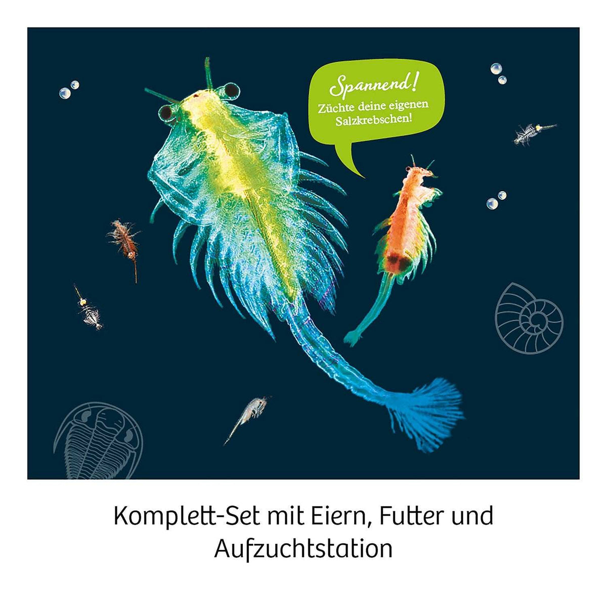 Urzeit-Krebse