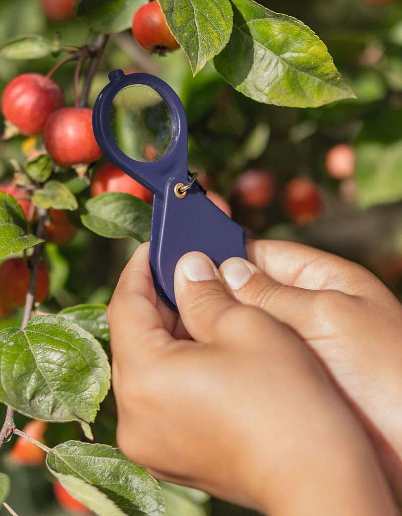 Expedition Natur Mini Lupe