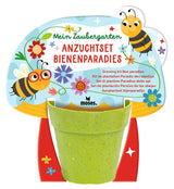 Mein Zaubergarten Anzuchtsets für Insekten (1 Stück)