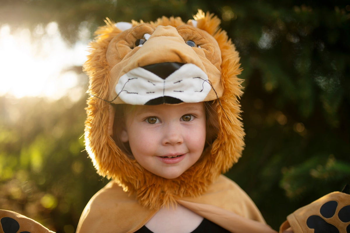 Löwen Cape 4-6 Jahre