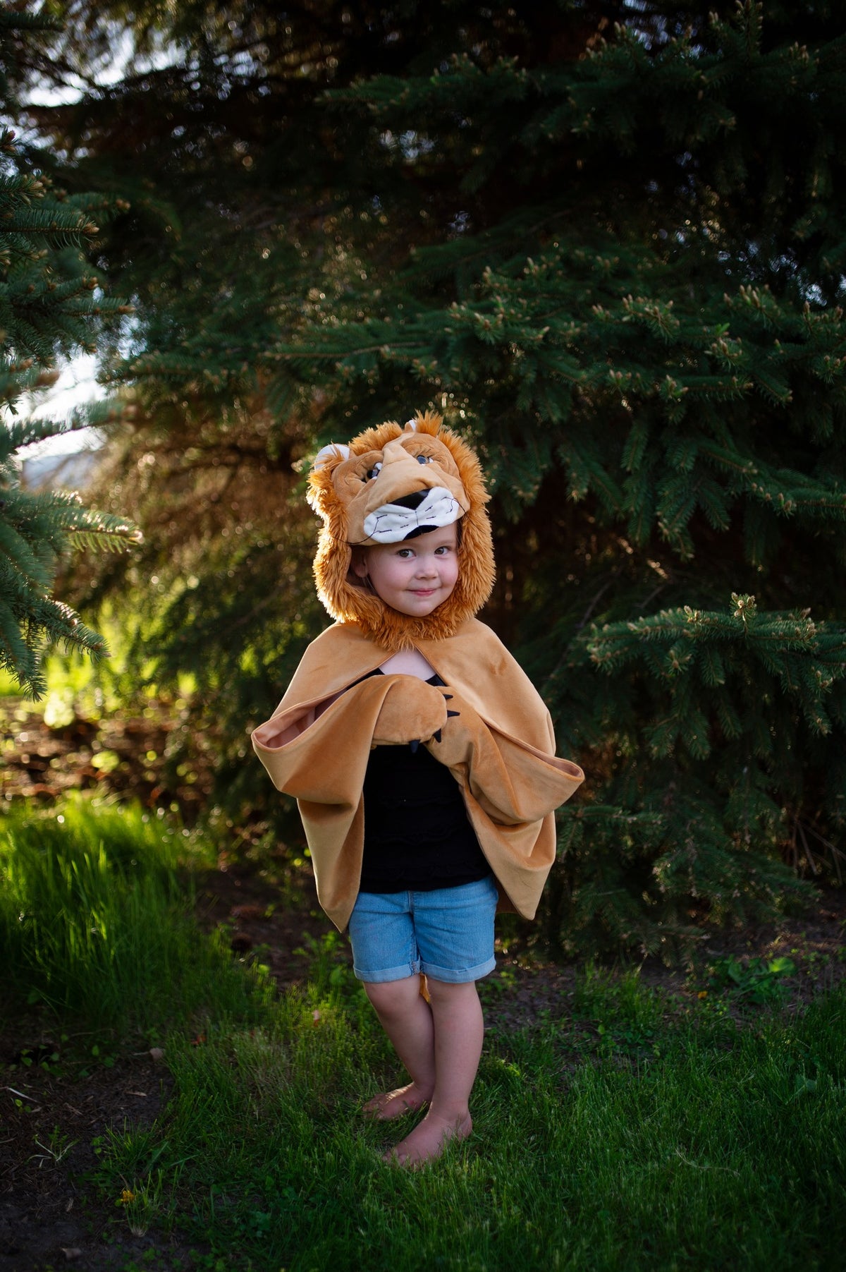 Löwen Cape 4-6 Jahre