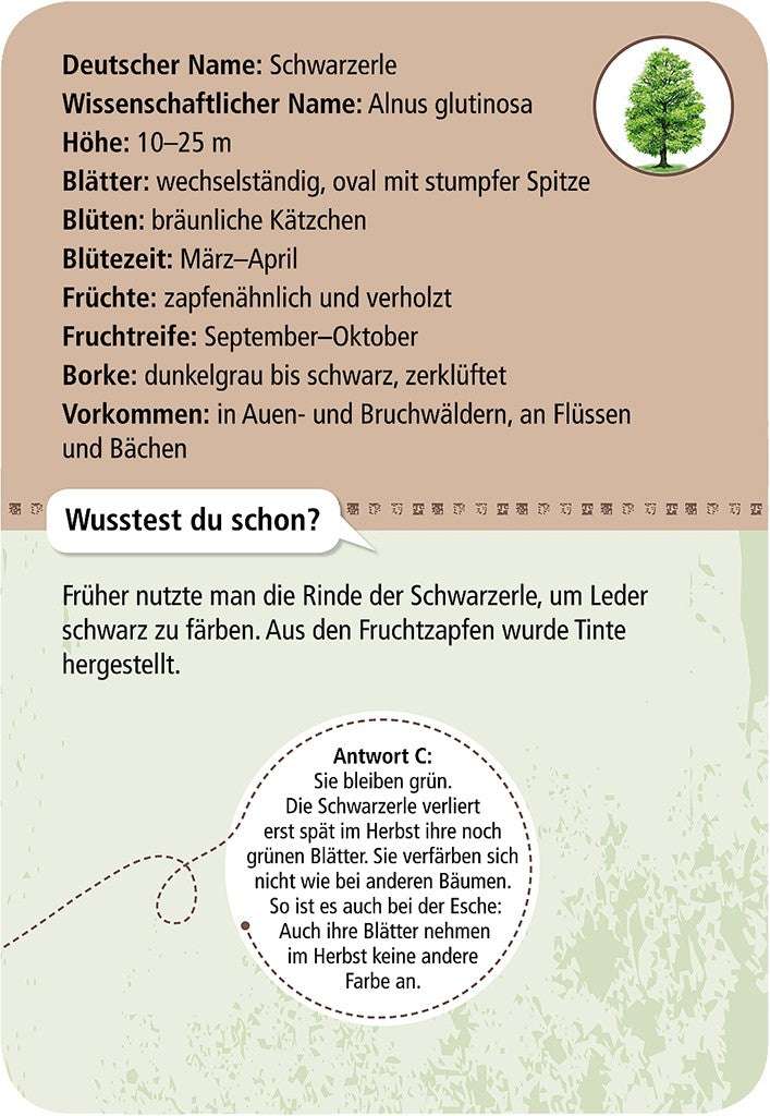Expedition Natur 50 Heimische Bäume