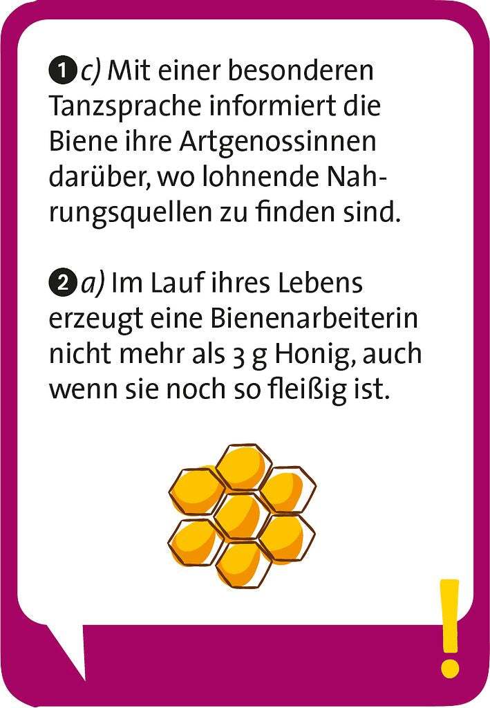 Pocket Quiz junior Unglaublich, aber wahr
