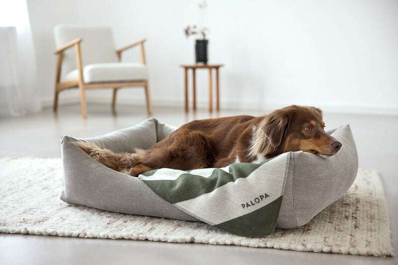 Hundedecke- Ida/ Streifen Grün