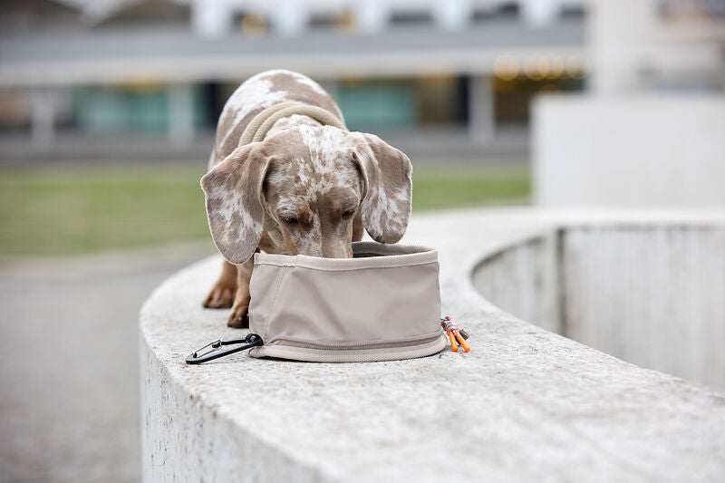 Hundenapf "to go"- Tura/ taupe