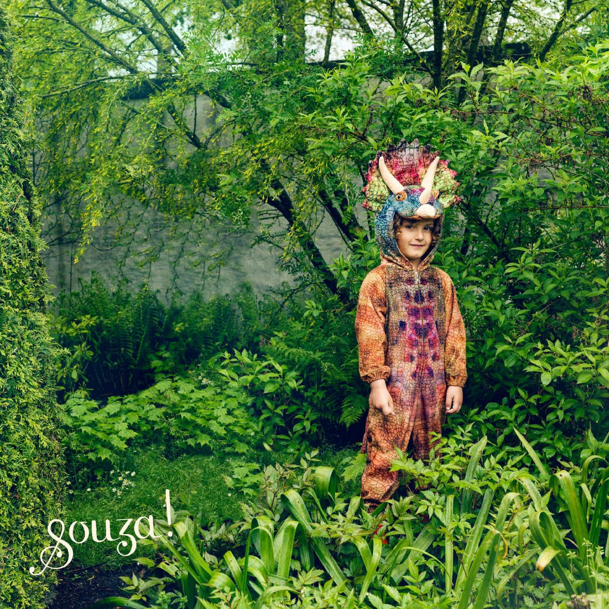 Triceratops- Kostüm 3-4 Jahre
