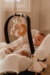 Aktivitätshänger/ Newborn Naturals