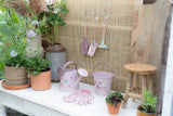Eimer/ Fairy Garden