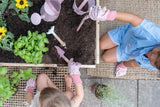 Eimer/ Fairy Garden